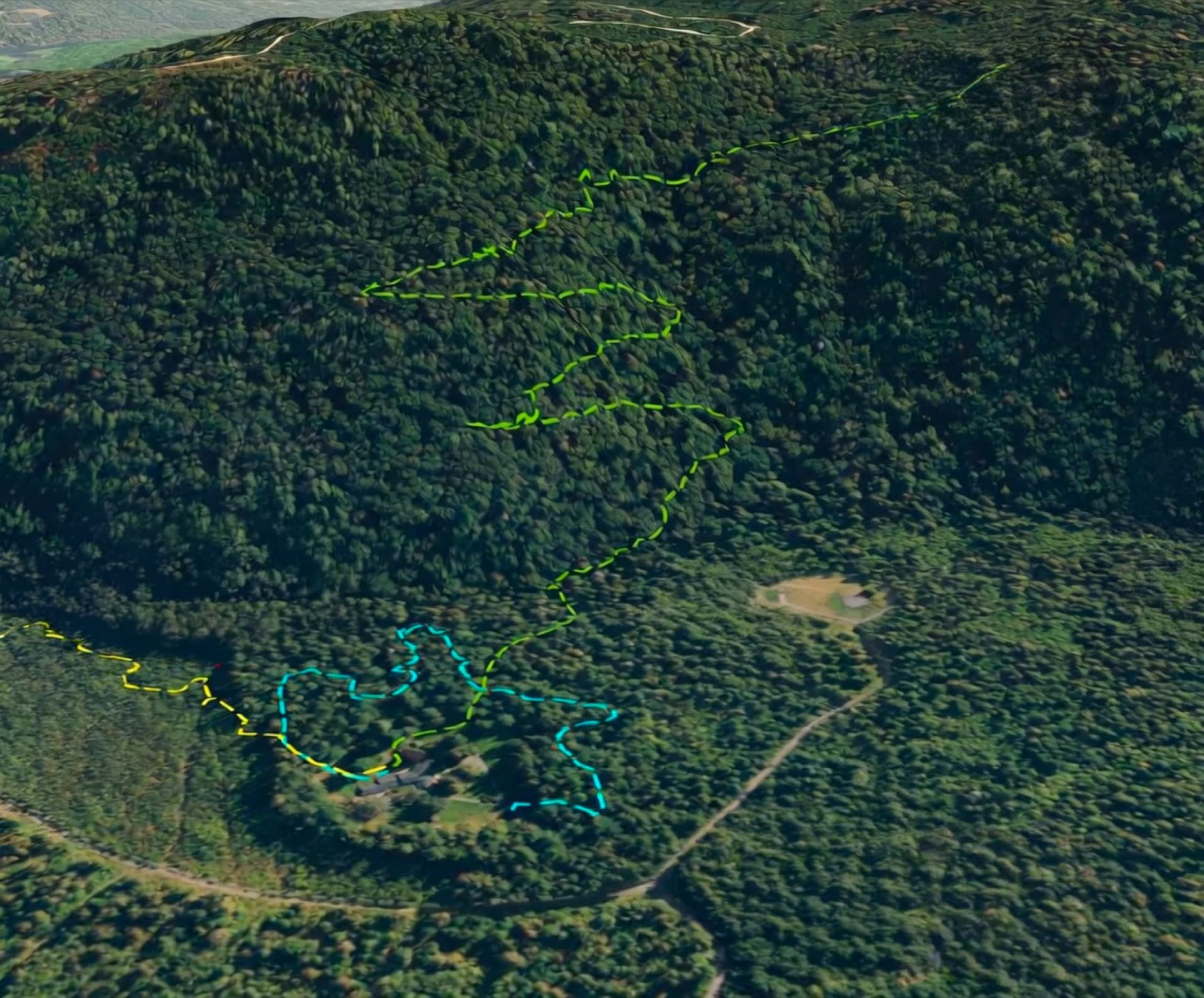 Private trails through old-growth forest
